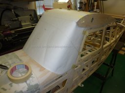 Canopy (103)